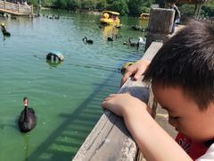 -无锡动物园·太湖欢乐园