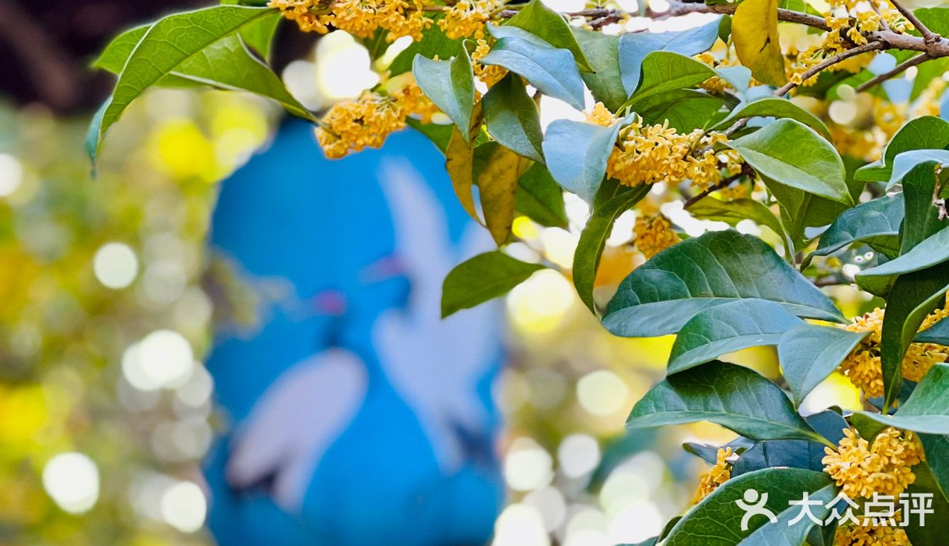桂拂清风菊带霜