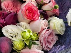 -卷心卷意·轻甜蛋糕(新光天地店)