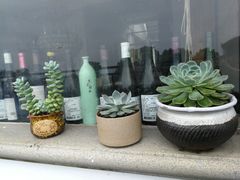 -美味之家·湖景农家乐(太湖东山店)