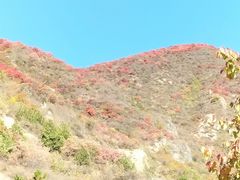 -古崖居风景名胜区