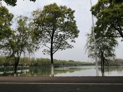 -艾溪湖湿地公园