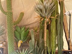 -HIHE Bistro·Oyster Bar(华熙live店)