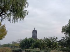 -西海子公园
