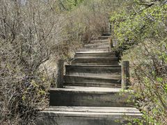 -白草畔自然风景区