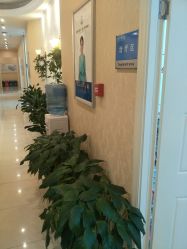 -碧莲盛·不剃发植发