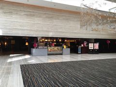 -新加坡乌节希尔顿酒店 (SG Clean)
