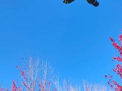 -辽宁大学(崇山校区)