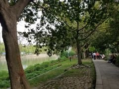 -成都市活水公园