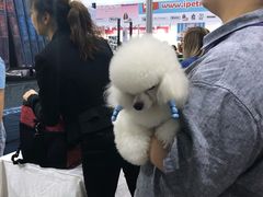 -香港会议展览中心演讲厅