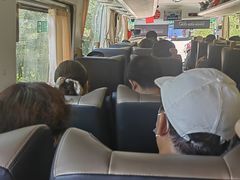 -牛背梁国家森林公园