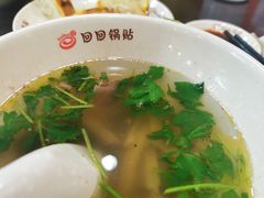 -回回锅贴(小河沿店)