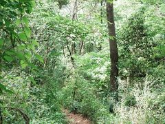 -秀沿路(地铁站)