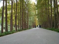 -上海植物园-4号门售票处