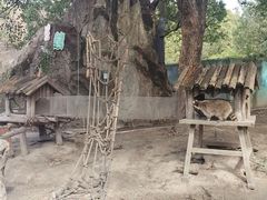 -宁波野生动物园