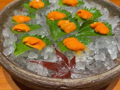 -月龍吟(朝龙汇店)