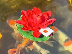 -下海庙