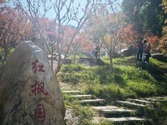 -广州市帽峰山景区