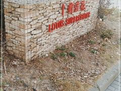 -麦当劳(杨高南路店)