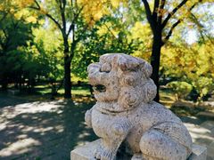 -晋祠公园
