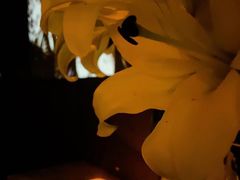 -MEDISN·药厂