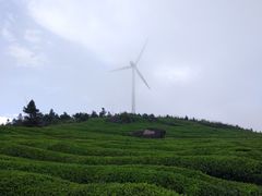 -东白山