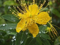 -奥特莱斯停车场