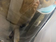 -半岛宠物医院24小时(白果林店)