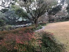 -申粤轩酒楼·三十年粤菜经典(丁香花园店)
