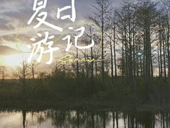 -白鹭湾湿地公园