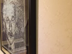 -信不信由你博物馆