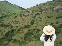 -大姆山草场