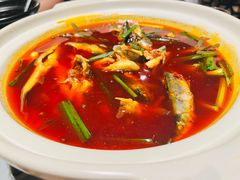 红汤柳根子-樽宴酒楼·地道川菜·品质宴请