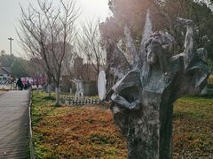 -苏州太湖国家湿地公园