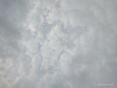 -洨河生态公园
