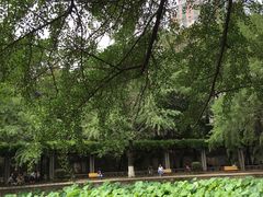 -四川大学(华西校区)