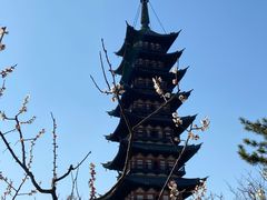 -上海方塔园