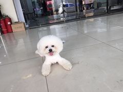 -康乐宝动物医院