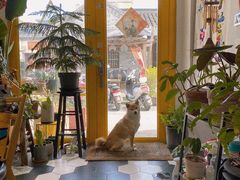 -About Bistro關於·泰式家庭料理