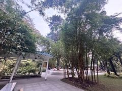 -晓港公园