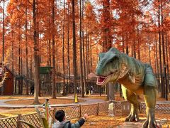 -黄海国家森林公园