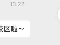 -JT PREP国际学科课程·IB·AP·Alevel(陆家嘴校区)