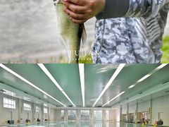 -福建鲤鱼洲酒店