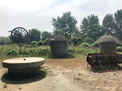 -溱湖国家湿地公园