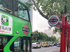 -BUS TOUR观光巴士