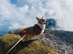 -芦芽山旅游度假区