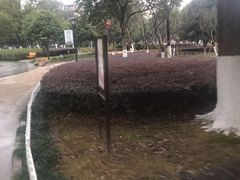 -河泥荡文化公园