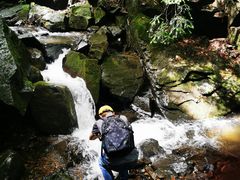 -藏龙百瀑风景区