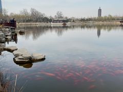 -西海子公园