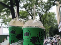 -雾与山茶(大禹城店)